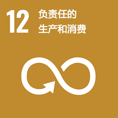 SDGs No.12 负责任的生产和消费